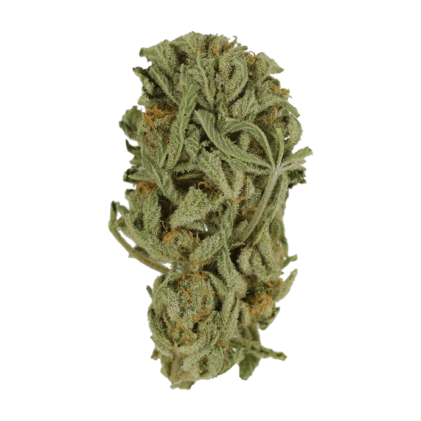 Master Kush Ultra | BudExpressNow Canada