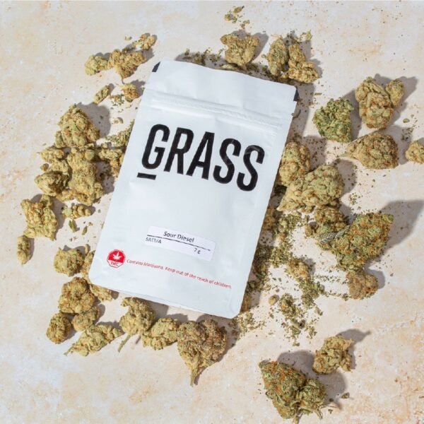 1/2OZ Sample Pack (AAA) – SAVE 20% | BudExpressNow Canada