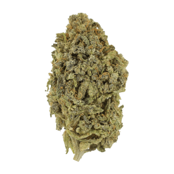 Watermelon Gelato | BudExpressNow Canada