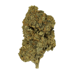 Cherry Punch | BudExpressNow Canada