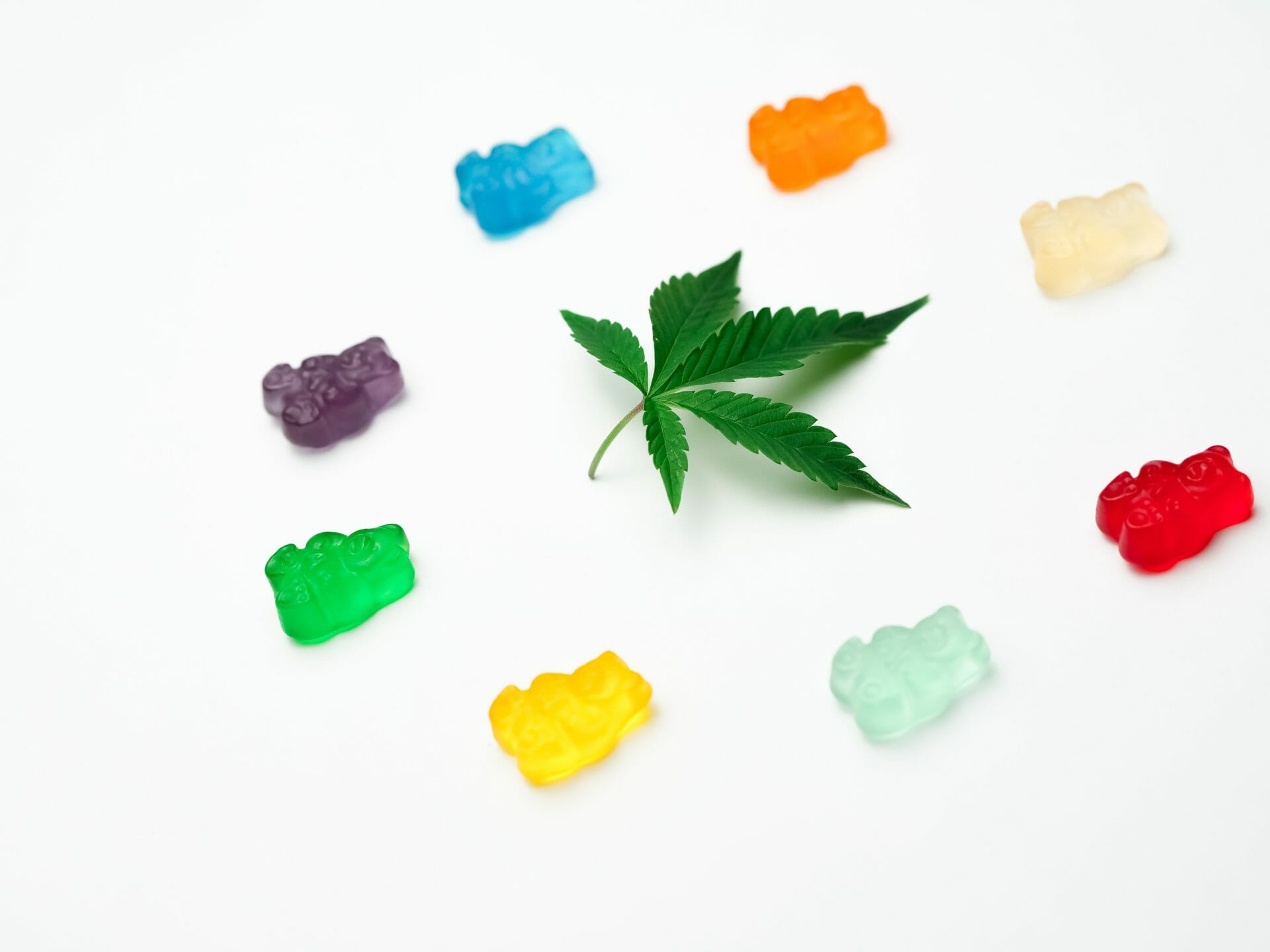 Grasslife - cannabis Dispensaries | BudExpressNow Canada